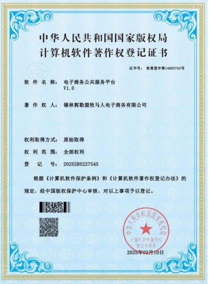 电子商务公共服务平台