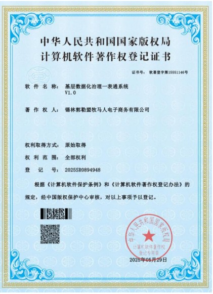 基层数据化治理一表通系统