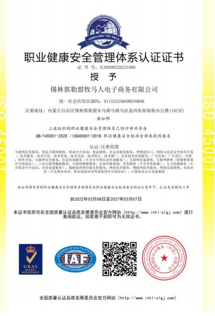 职业健康安全管理体系ISO45001
